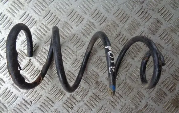 Rear coil spring