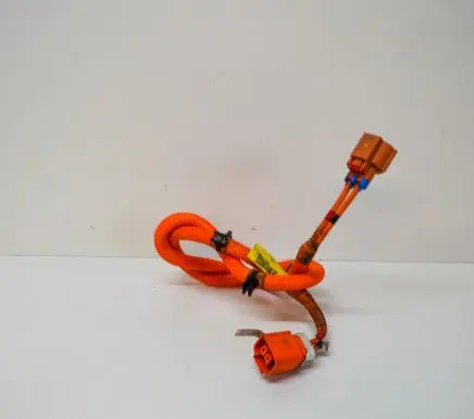 Tesla Model S Other wiring loom 600738300