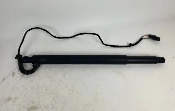 Tailgate/trunk strut/damper