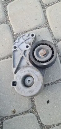 Audi Q7 4L Timing belt tensioner E6920A110540