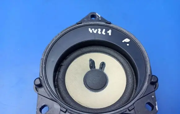 Panel speaker