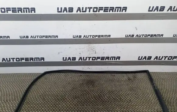 KIA Rio Rubber seal front door window/glass 