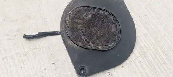 Front door high frequency speaker