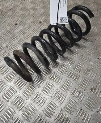 Rear coil spring