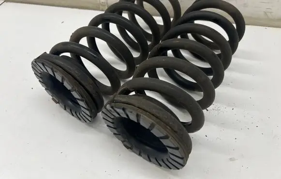 Rear coil spring