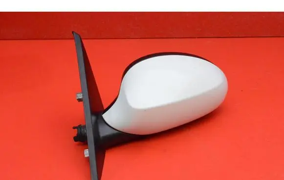 BMW 1 E82 E88 Front door electric wing mirror 7164601