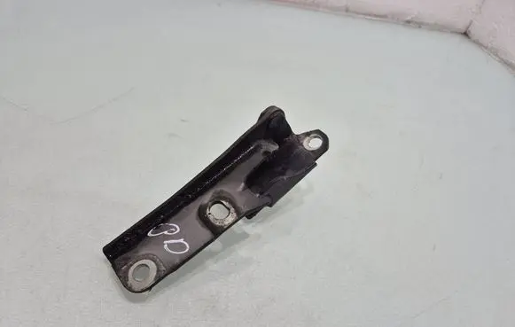 Mitsubishi Pajero Engine bonnet/hood hinges 
