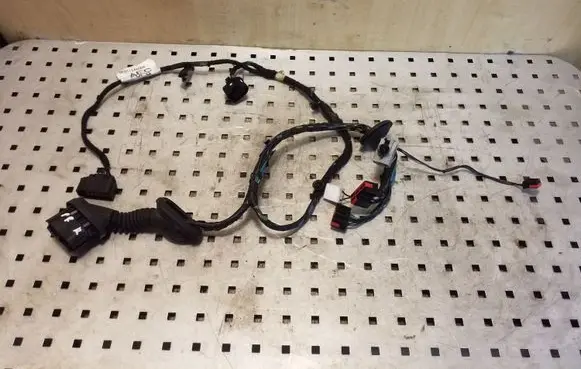 Front door wiring loom
