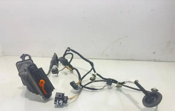 Volkswagen PASSAT B7 Rear door wiring loom 3AA971693CB