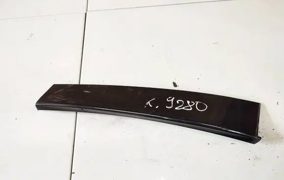 Other front door trim element