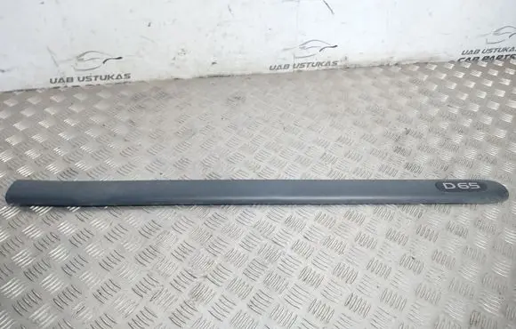 Front door trim (molding)