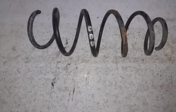 Mercedes-Benz A W169 Front coil spring A1693212504