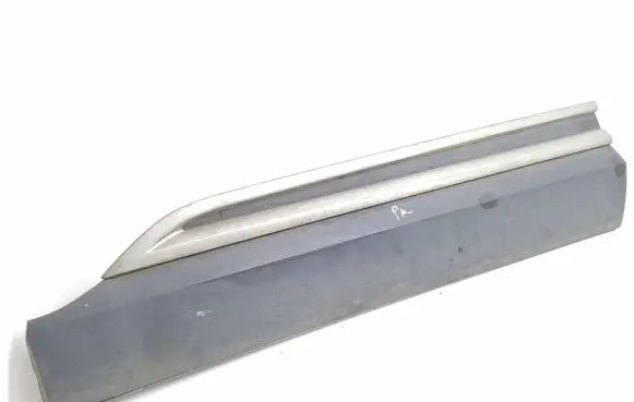Front door trim (molding)