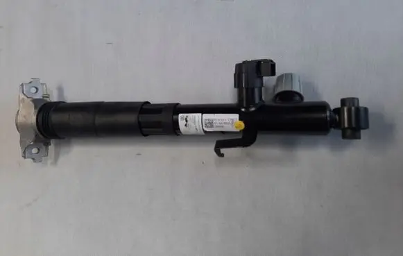 Porsche Cayenne (9Y0 9Y3) Rear shock absorber with coil spring 9Y0513028F