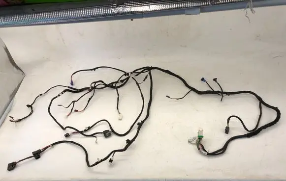 BMW X1 U11 Panel wiring 5A48861