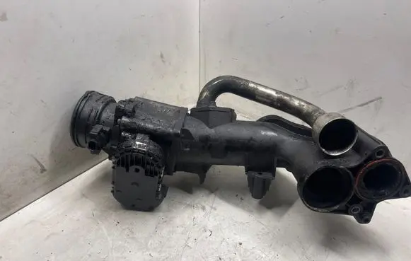 Mercedes-Benz Sprinter W906 Throttle valve A64209000
