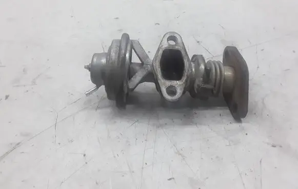 Seat Ibiza II (6k) EGR valve