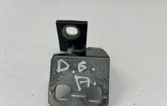 Rear door lower hinge