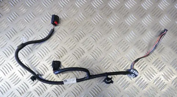 Tesla Model S Rear door wiring loom 106910601B