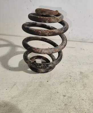 Rear coil spring