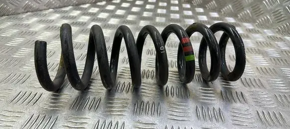 Rear coil spring
