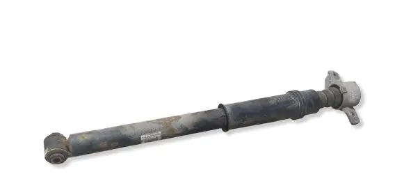 Citroen C4 II Rear shock absorber/damper 0513