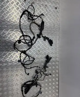 BMW X3 E83 Front door wiring loom 3508097 3508099 3508098
