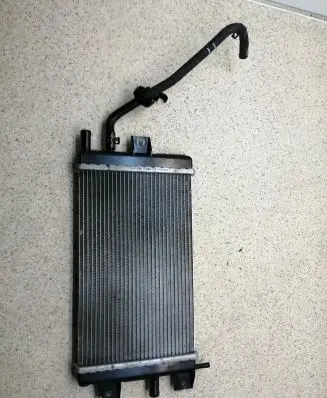 Dacia Spring Coolant radiator 1301051BBG 1301041BBG