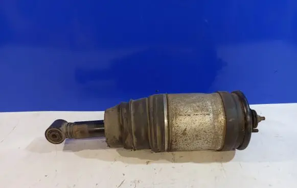 Land Rover Range Rover Sport L320 Rear shock absorber/damper RNB501220