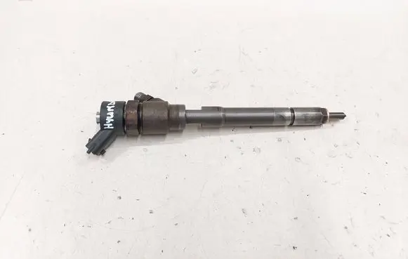 Hyundai Santa Fe Fuel injector 3380027800