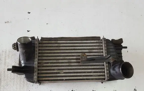 Nissan Juke I F15 Intercooler radiator