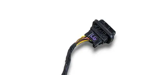 Hyundai Tucson IV NX4 Rear door wiring loom 55199