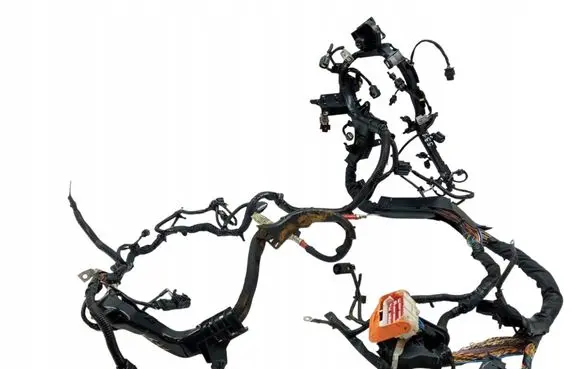 Volvo S60 Wiring harness 31499292