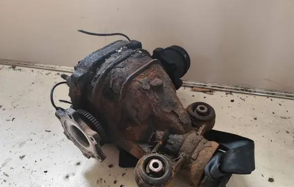 Nissan Pathfinder R51 Rear differential 38311