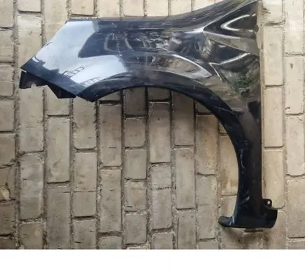 Renault Modus Fender