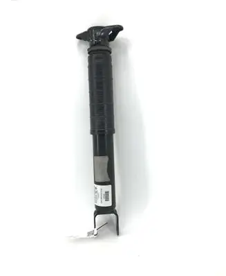 Dodge Durango III Rear shock absorber/damper 894104000847 52830