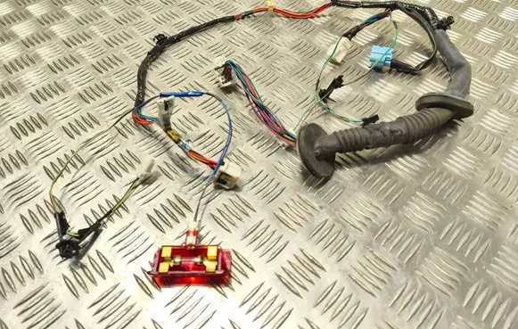 Front door wiring loom