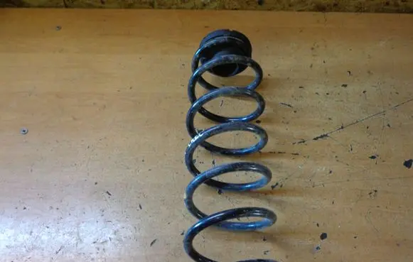 Skoda Fabia Mk3 (NJ) Rear coil spring
