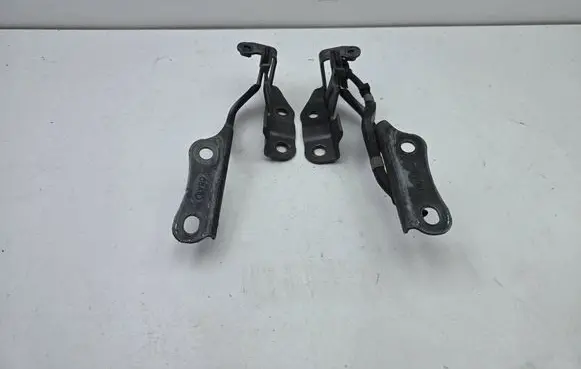 Lexus CT 200H Engine bonnet/hood hinges