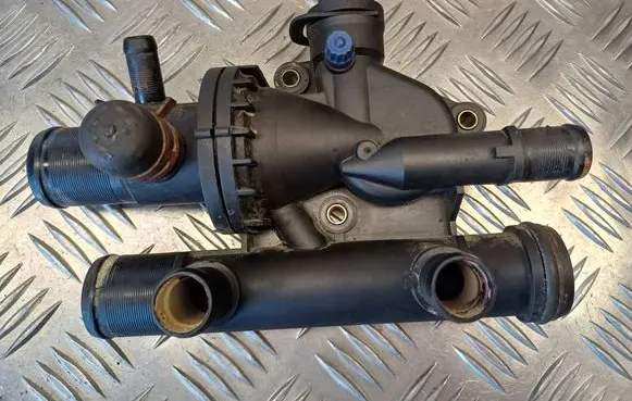 Thermostat/thermostat housing