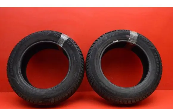 Renault Scenic I R17 C winter tire 