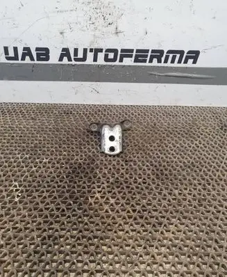Nissan Murano Z51 Front door lower hinge 