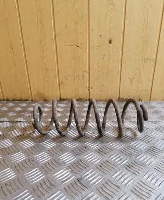 Volkswagen New Beetle Rear coil spring