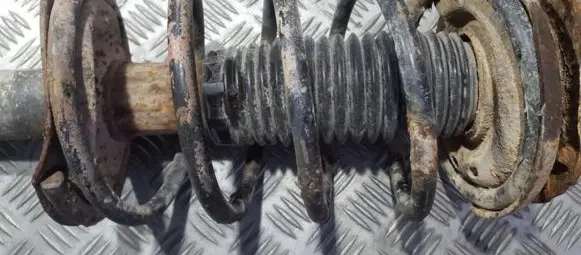 Peugeot 206 Front coil spring