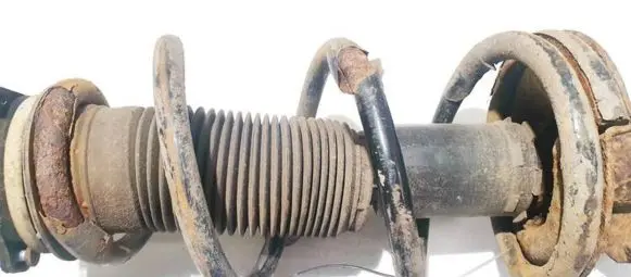Front coil spring