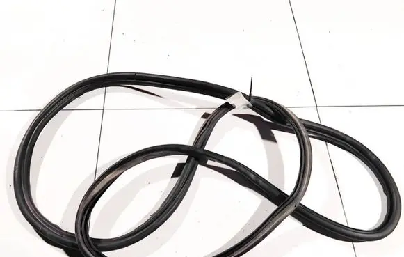 Citroen C4 Grand Picasso Rubber seal rear door 