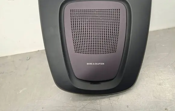 BMW X5 F15 Panel speaker 923066701