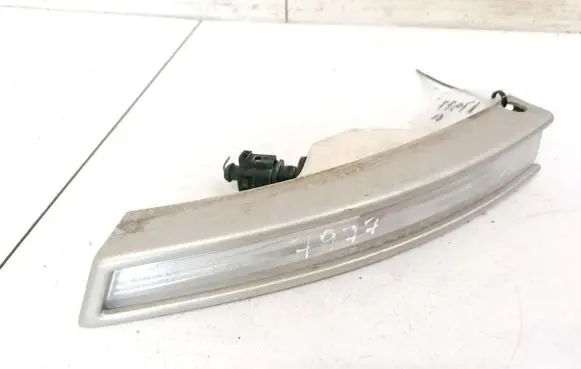 Volkswagen PASSAT B6 Front indicator light 3C0953041E