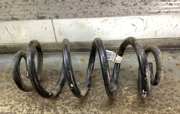 Rear coil spring