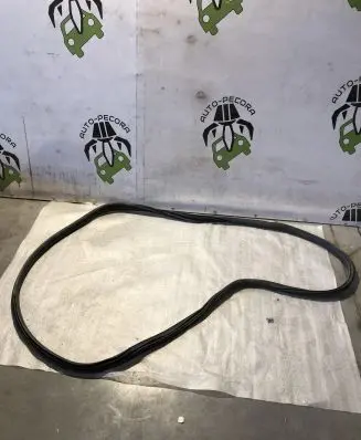 Citroen C3 Front door rubber seal 9813059580